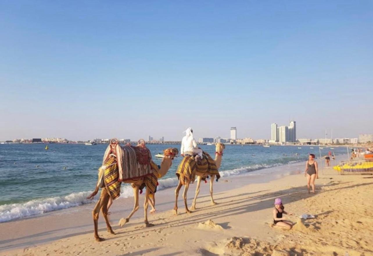 Seaview Beach Hostel Jbr - Walk To Beach - Gym - Pool - Metro Station Dubai Bagian luar foto